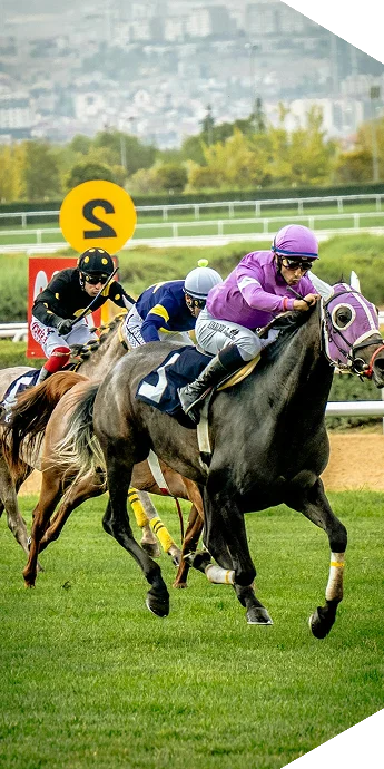 Multiple jockeys in colorful racing silks competing on thoroughbred horses during a fast-paced turf horse race on a green track.