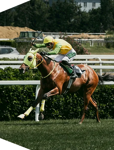 Jockey in yellow and green silks riding a thoroughbred horse at full speed on a grass racetrack during a horse racing event.